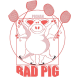 Badminton Pignan Logo BADPIG34