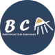 Logo BCA30