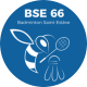 Logo BSE66