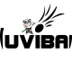Logo JUVIBAD34